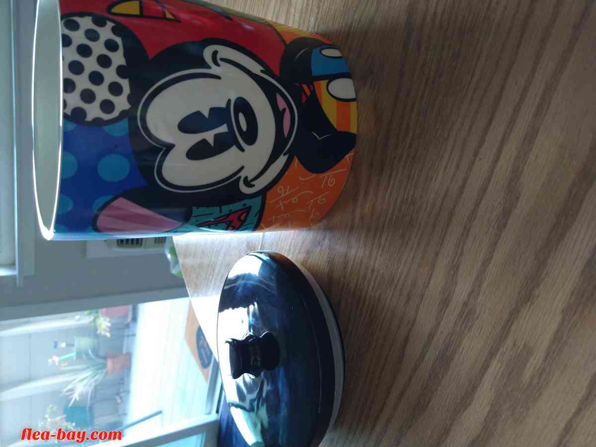 Disney Mickey mouse canister