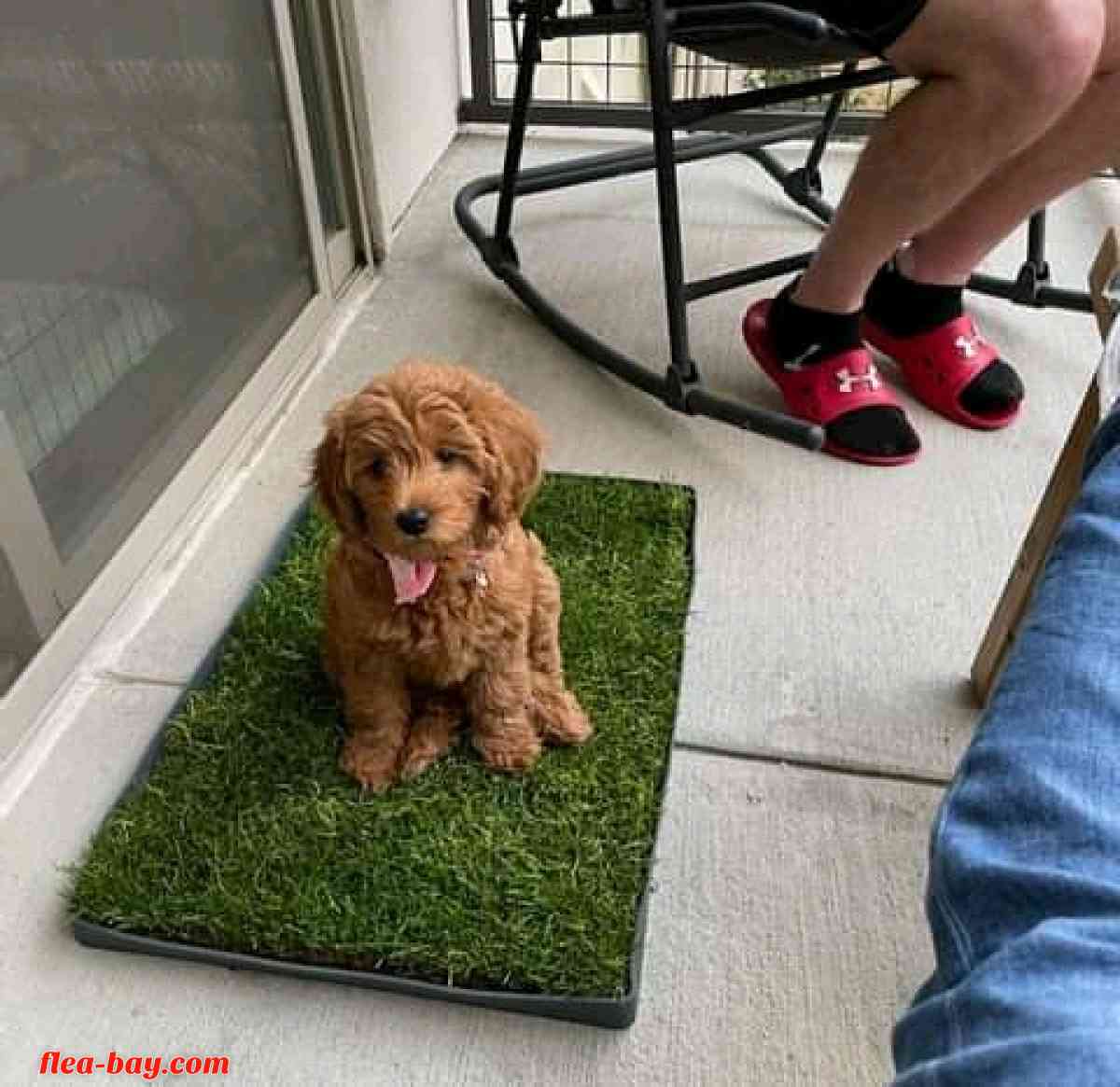 looking for serious buyer