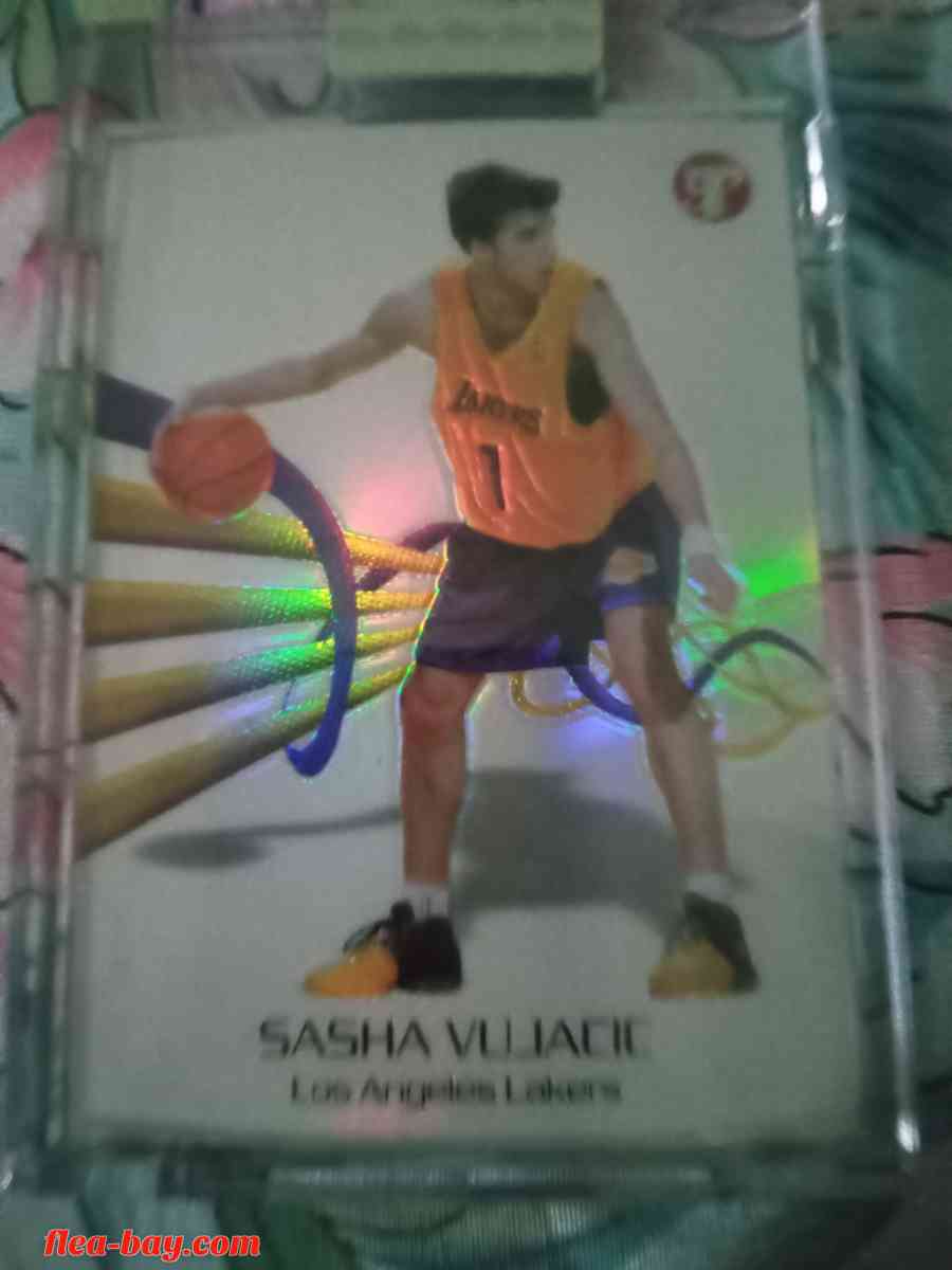 Sasha Vujacic Rookie Trading Card