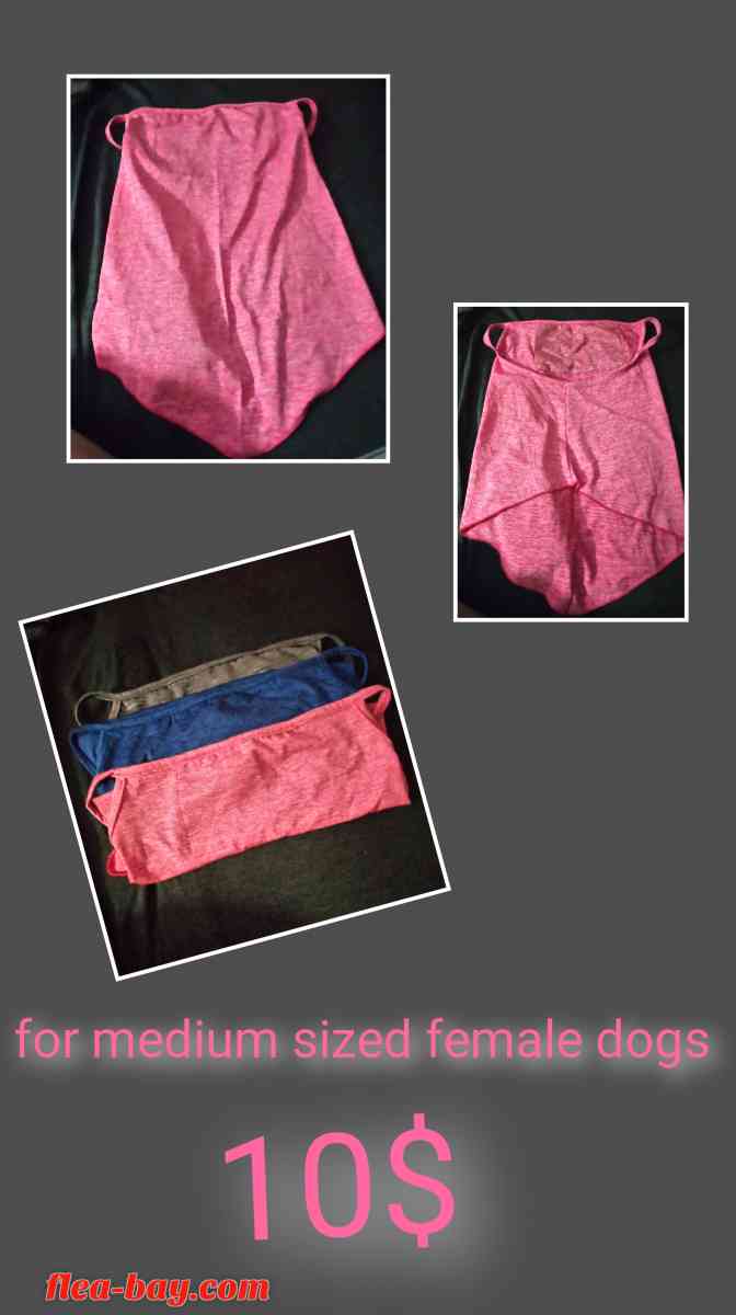 female Dog summer  clothes for a medium sized female dog