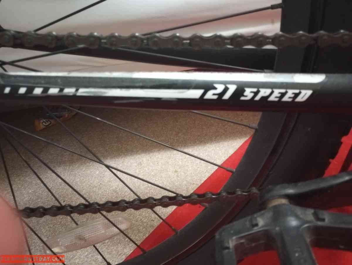 mongoose excursion 21soeed