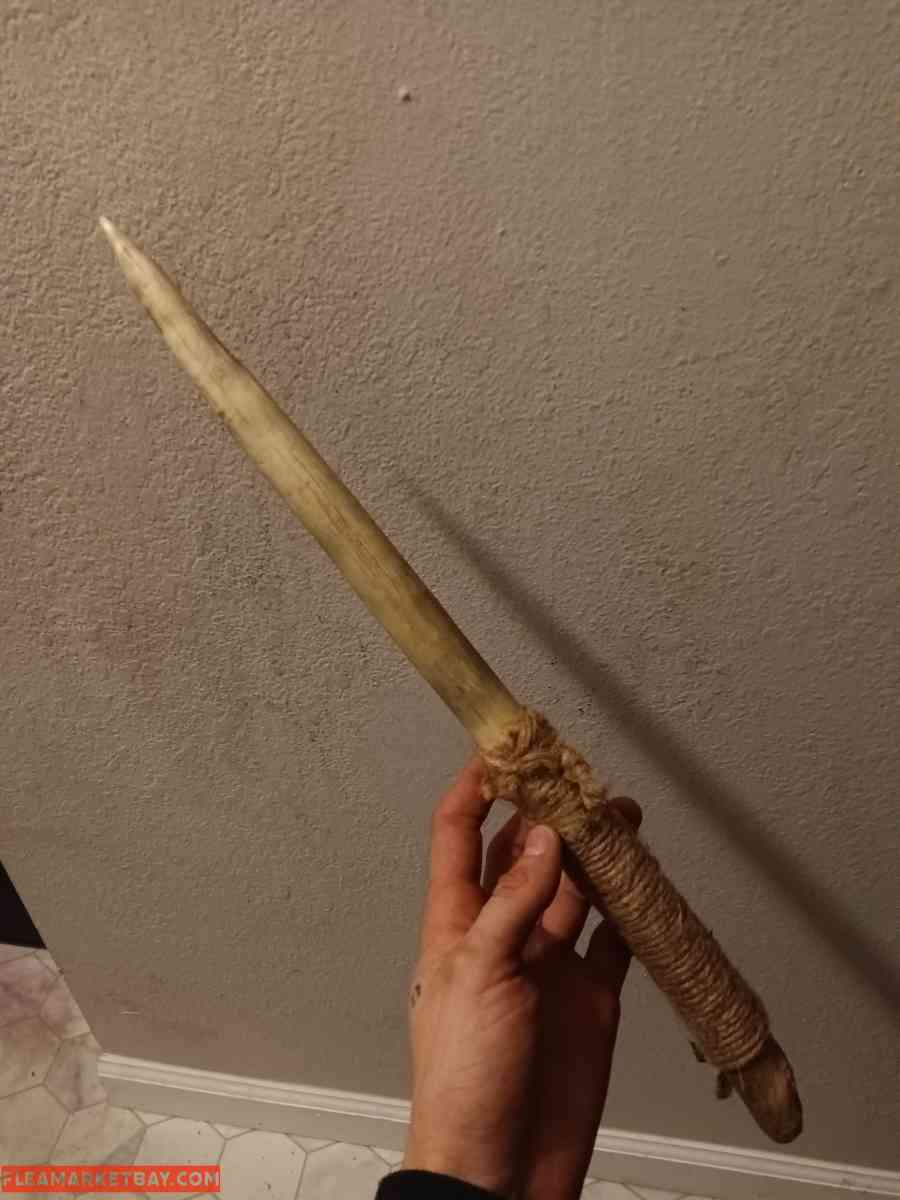 nosferatu's nightmare