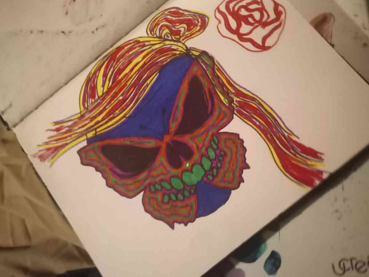 Butterfly skull face