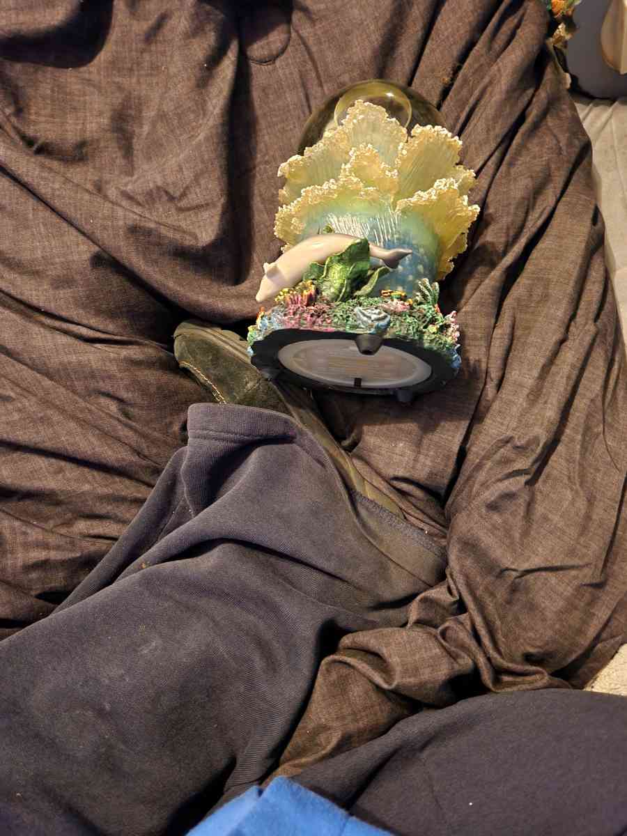 smaller dolphin globe