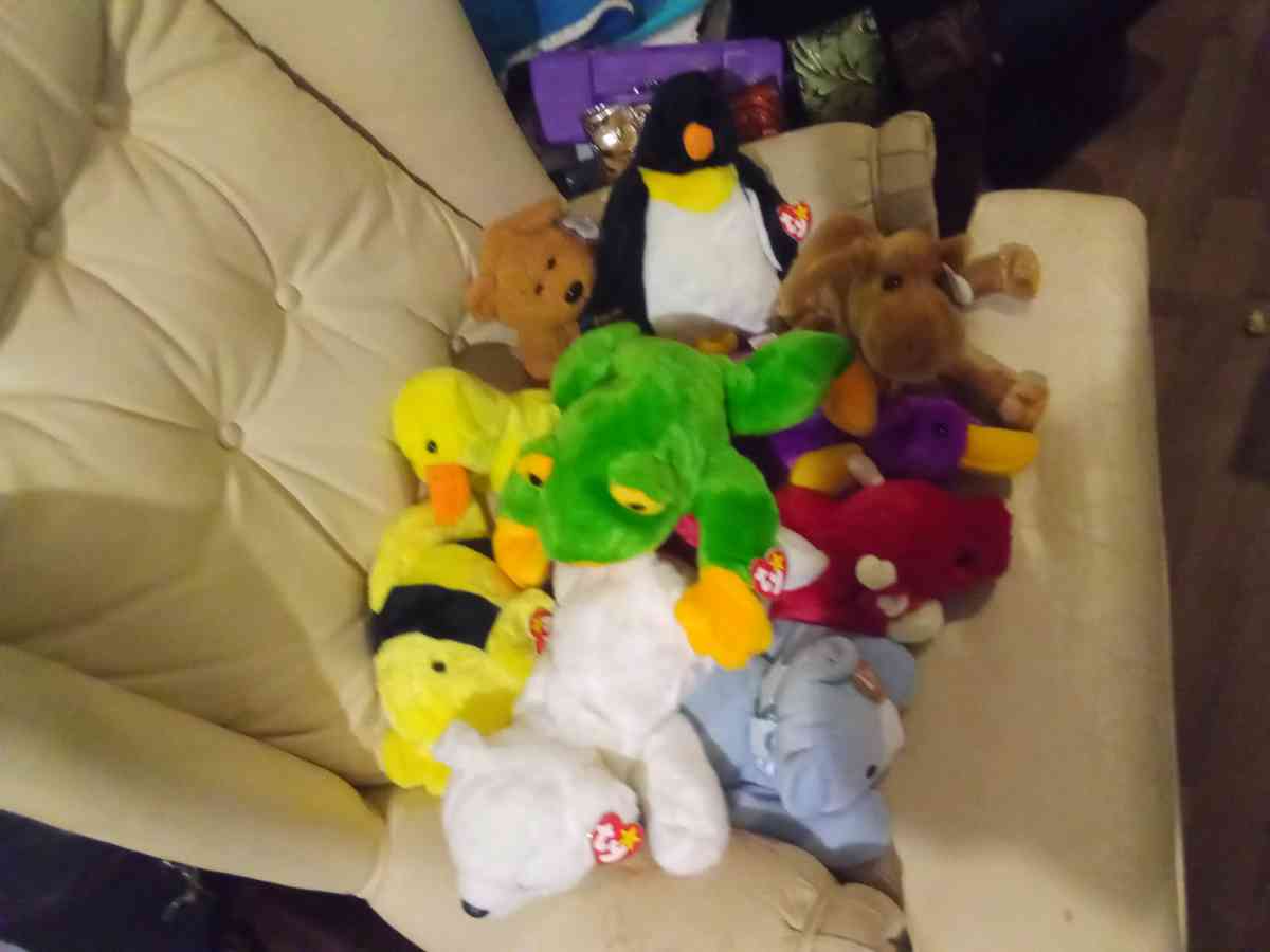 there a lot of beanies baby's here so if you need one contac