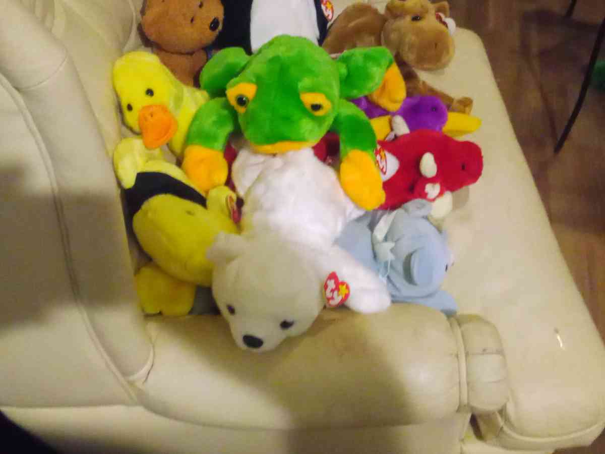 there a lot of beanies baby's here so if you need one contac