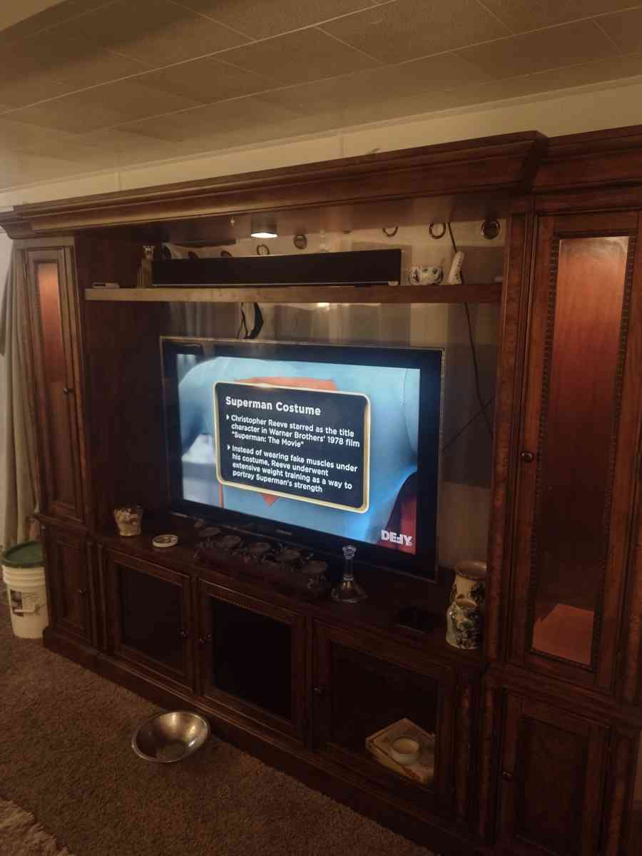 gorgeous Amish entertainment center