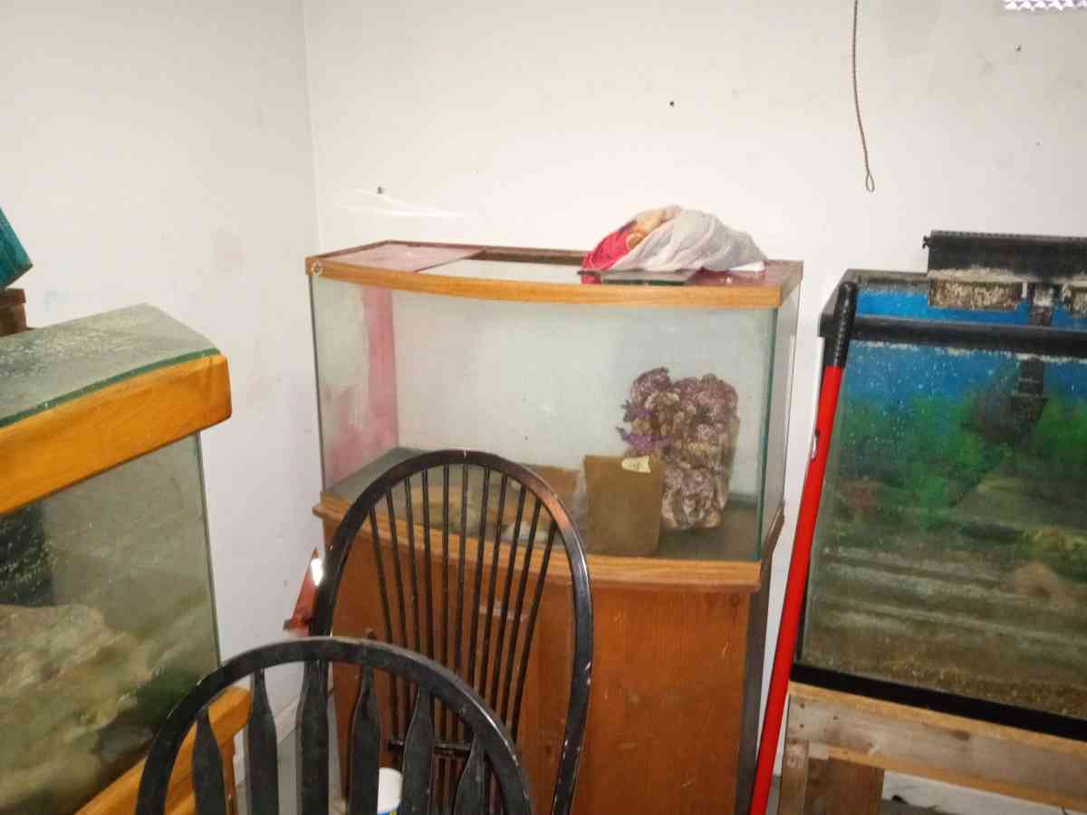 multiple fish tanks