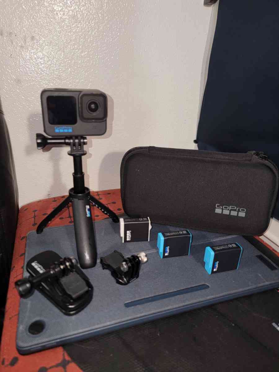 go pro 10 black