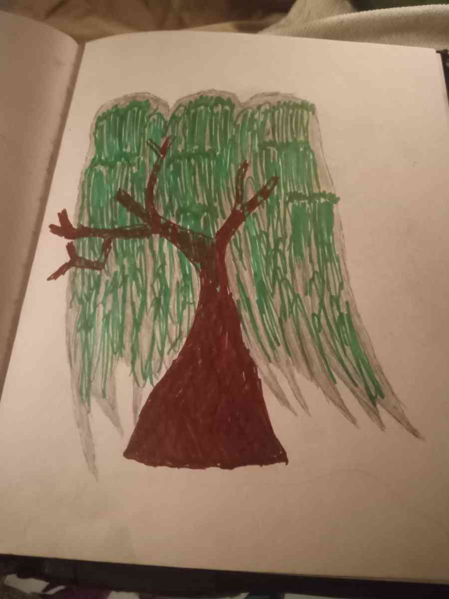 Willow tree