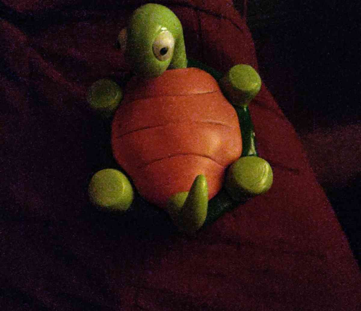 vintage turtle trinket box