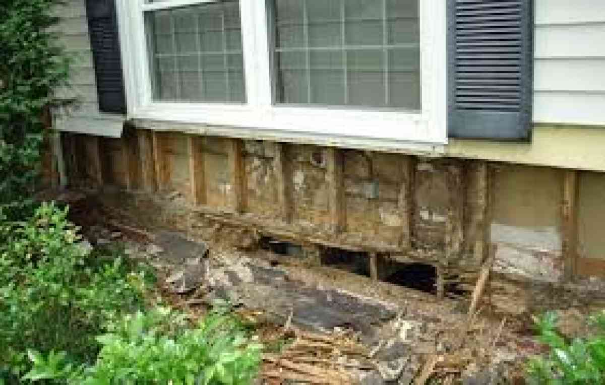 cheap pest control n termite