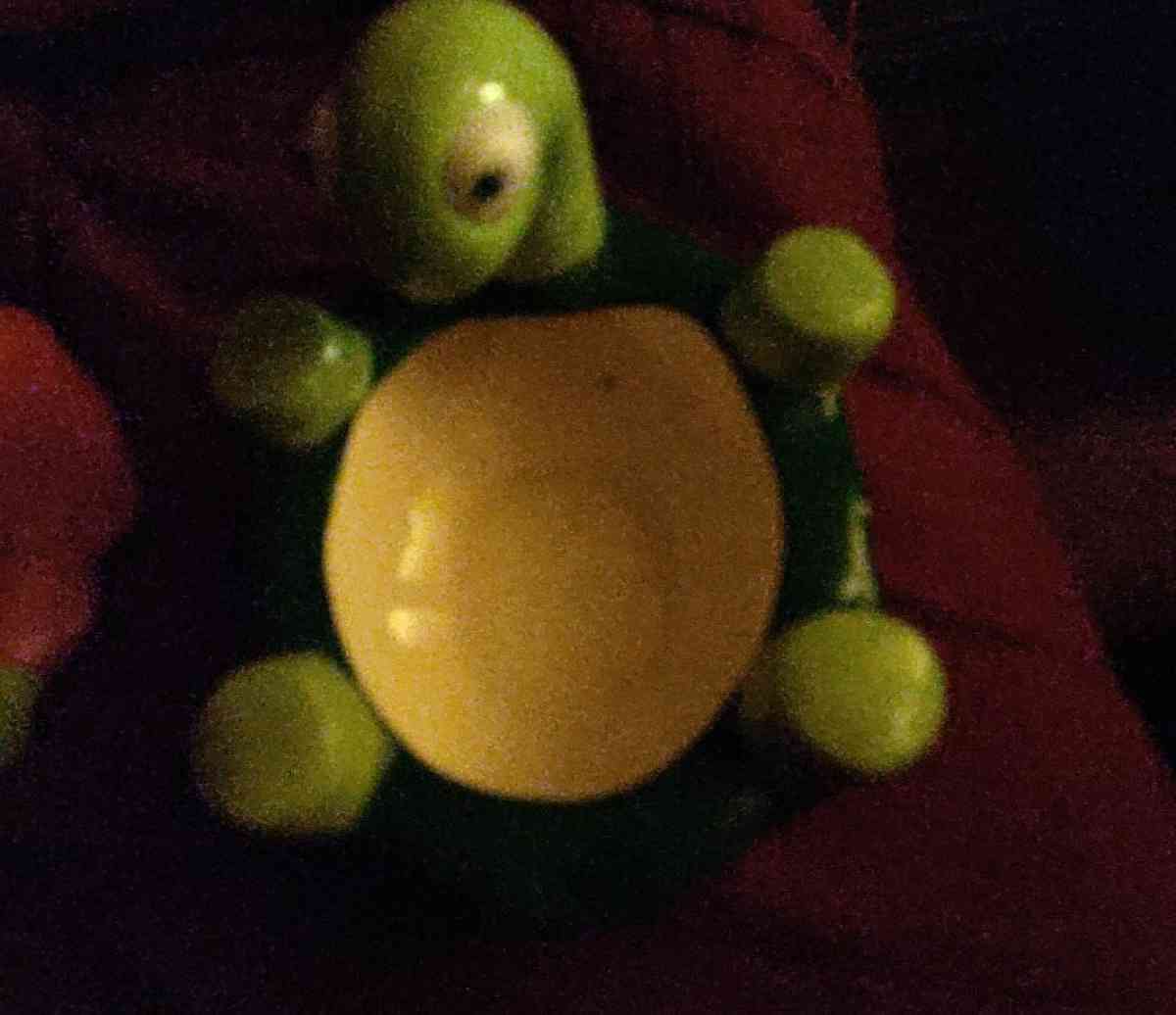 vintage turtle trinket box