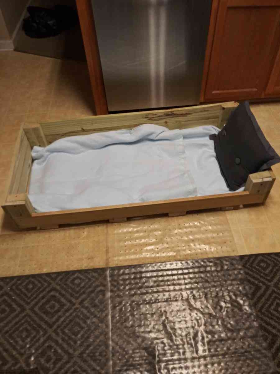 dog bed