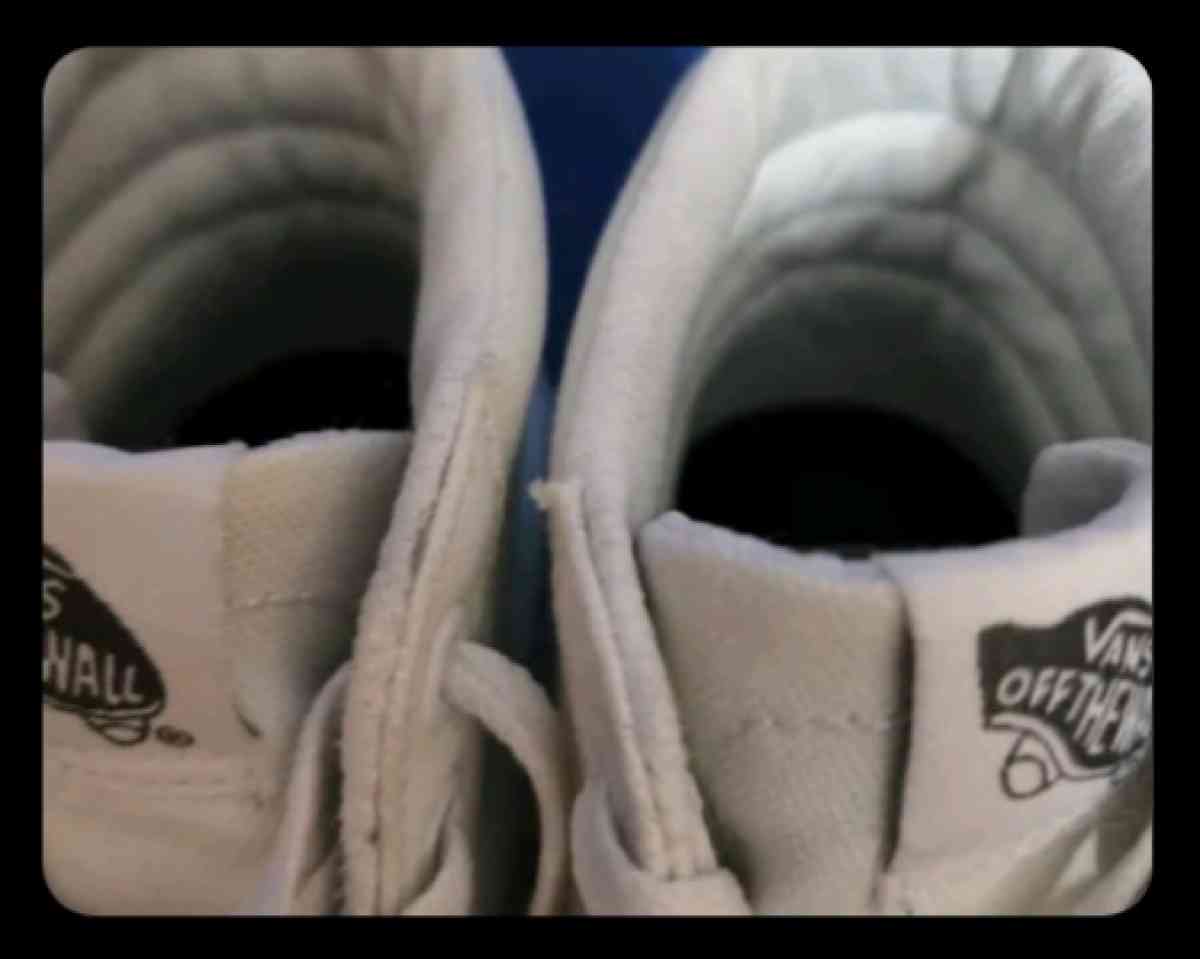 Vans Sk8Hi Sneakers True White Canvas Skateboarding HighTop