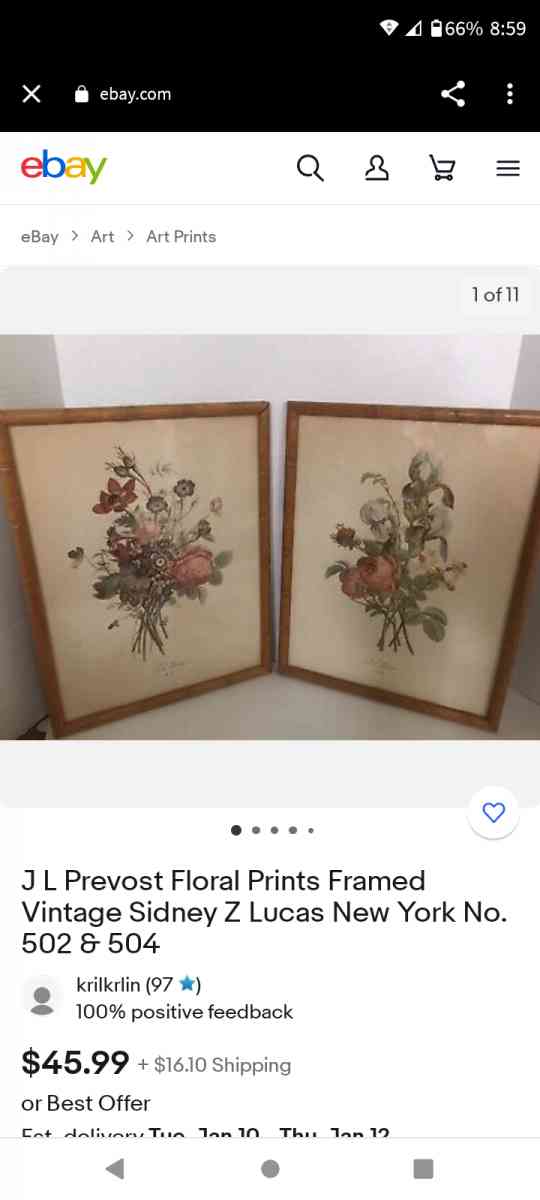 Vintage Floral Prints set of 2