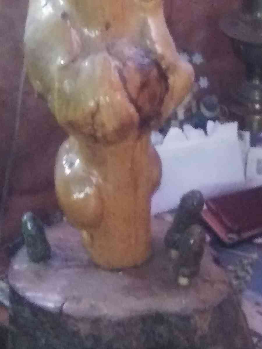 8 Piont European swamp buck