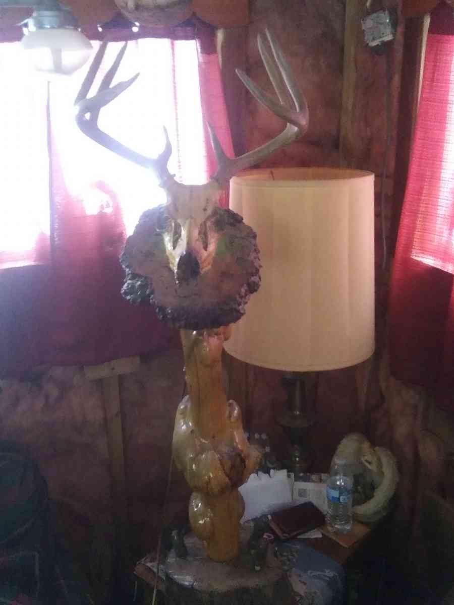 8 Piont European swamp buck