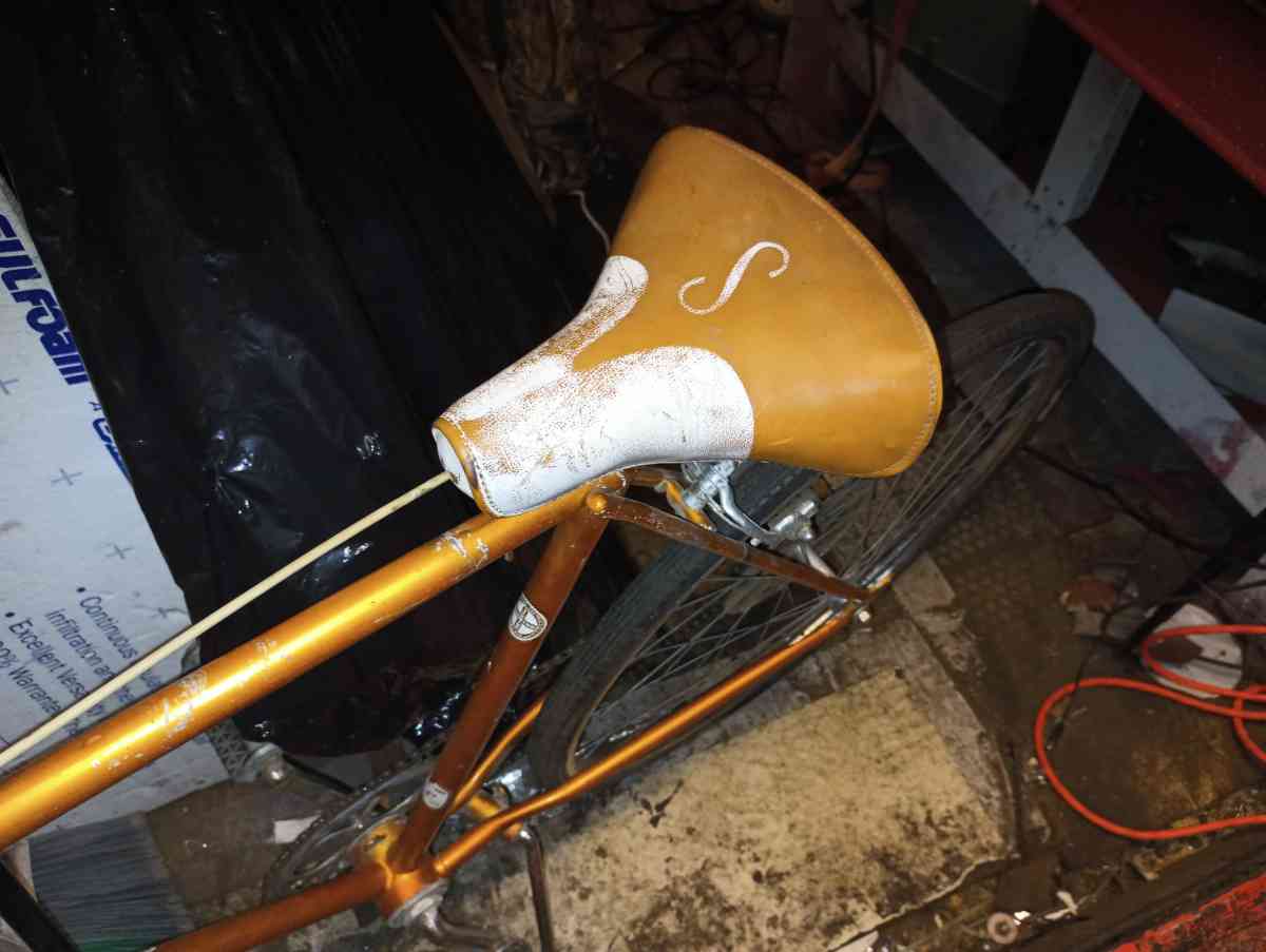 Schwinn Vintage Bike in original state