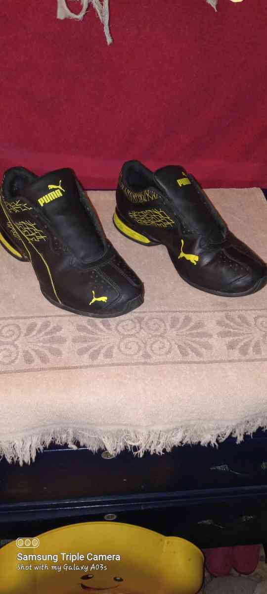 mens pumas size 10