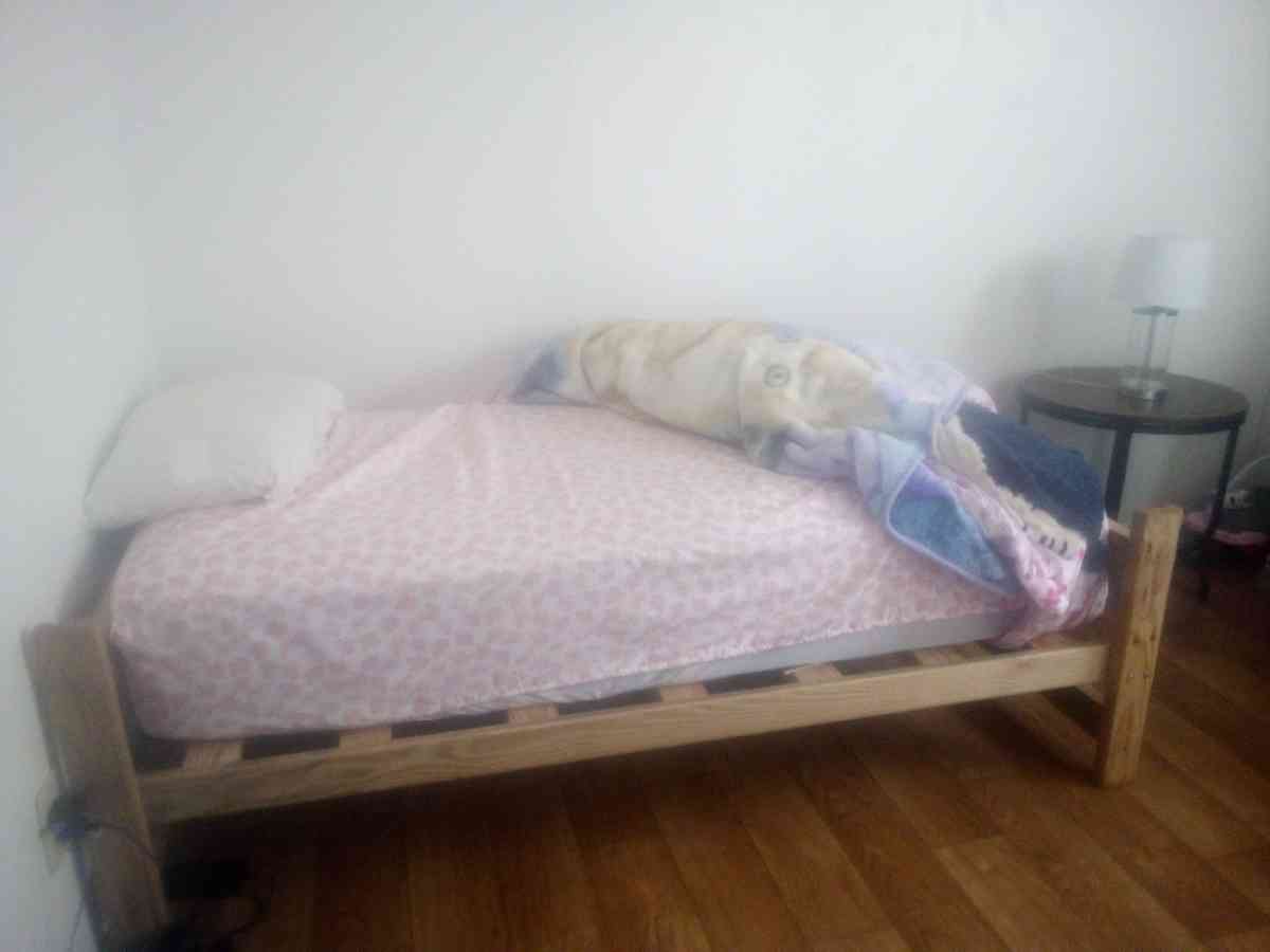 Twin bed with frame