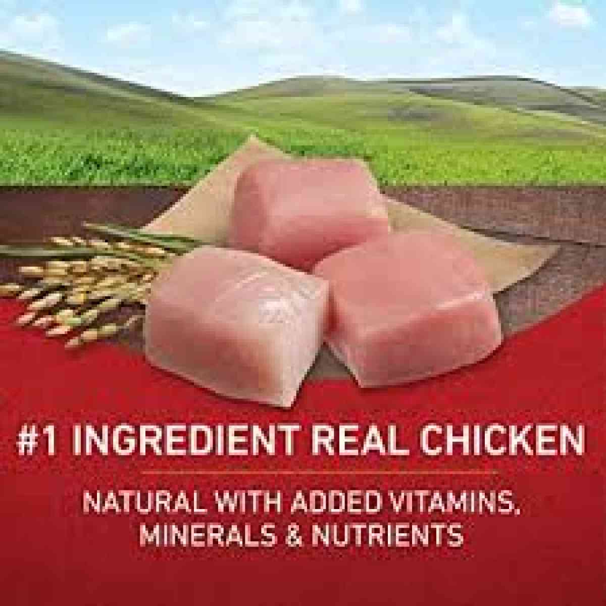 Purina One Chicken And Rice Adult Dog Food