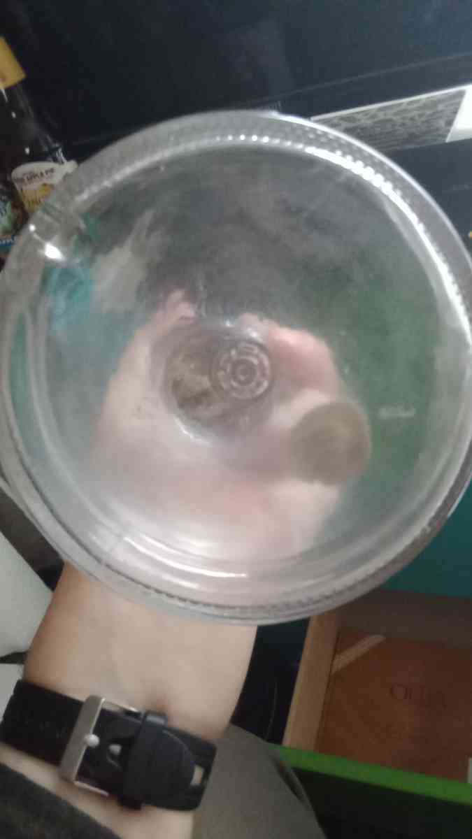 Liquor Bottle I Dream Of Geenie