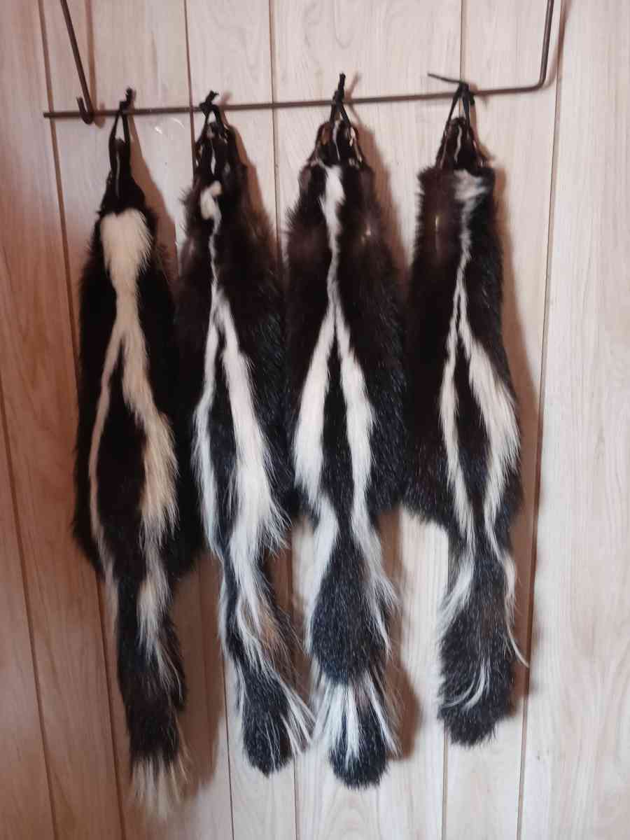 fox furs badger furs skunk fur