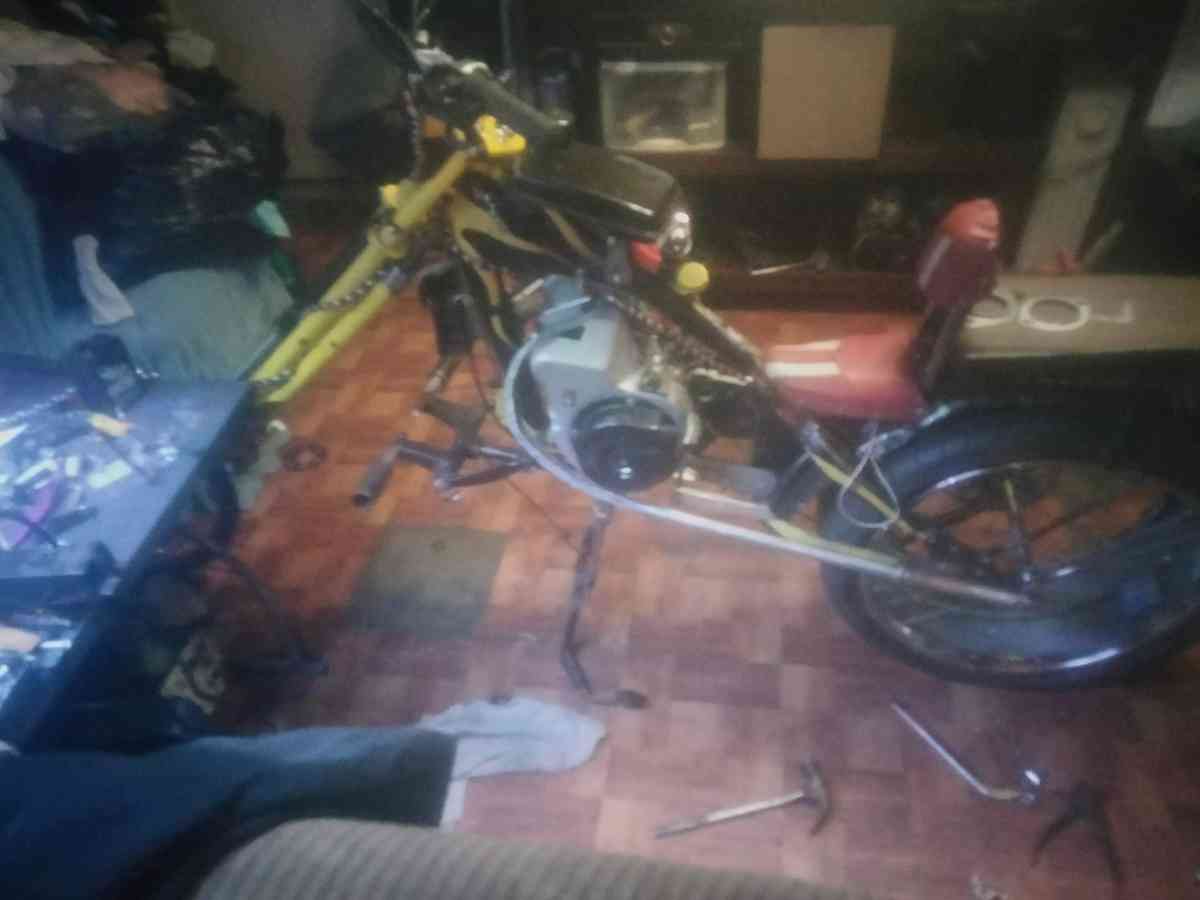 stingray custom motor bike