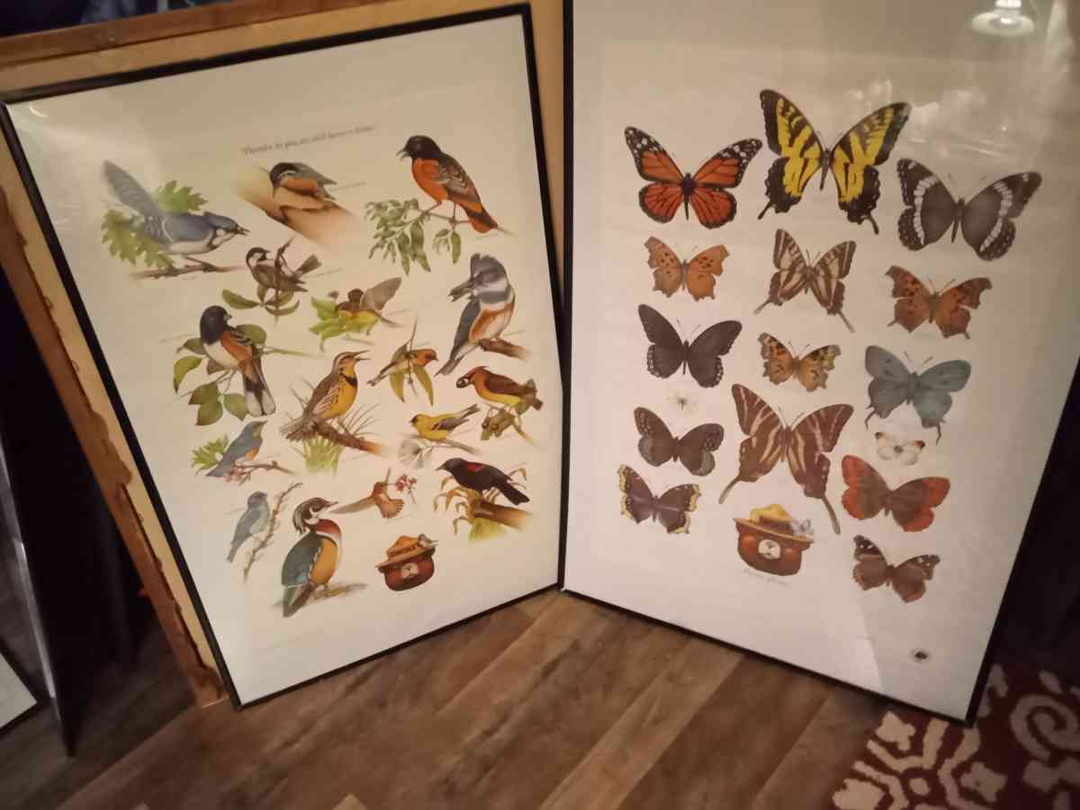 vintage prints and posters