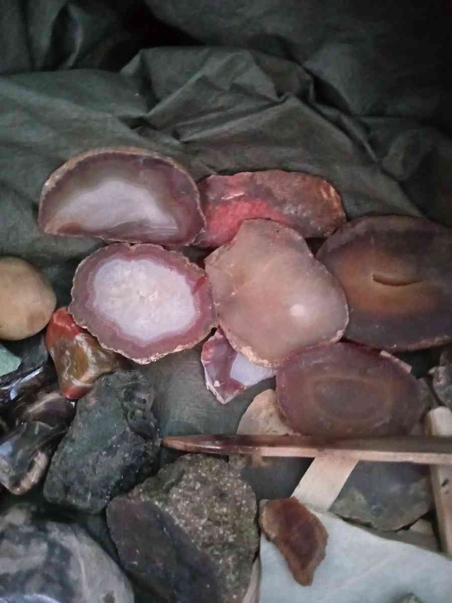 petrified opalized and agatized wood from all over the world