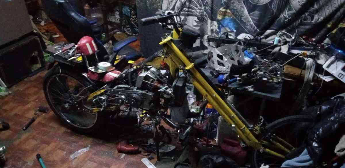 stingray custom motor bike