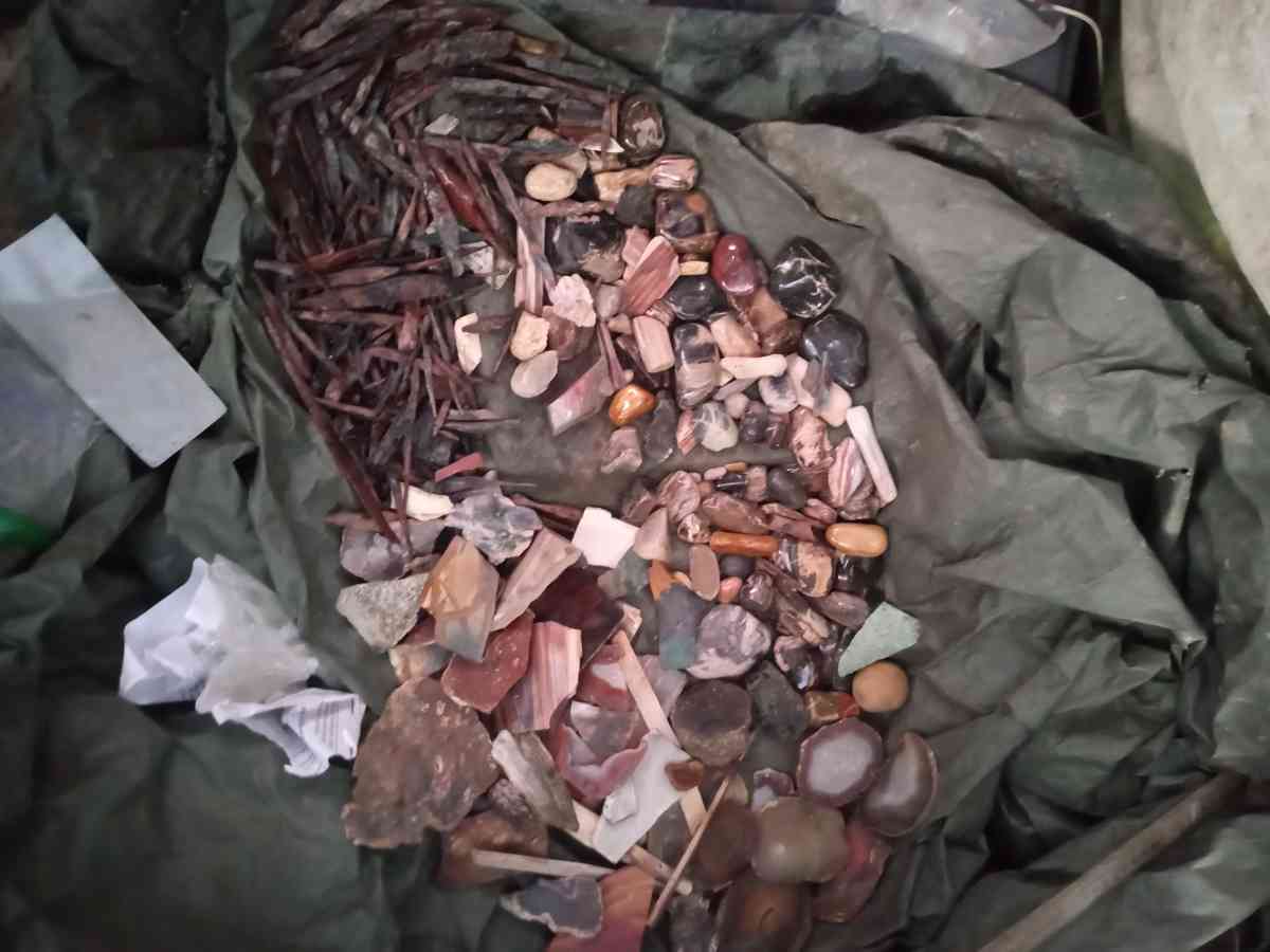 petrified opalized and agatized wood from all over the world