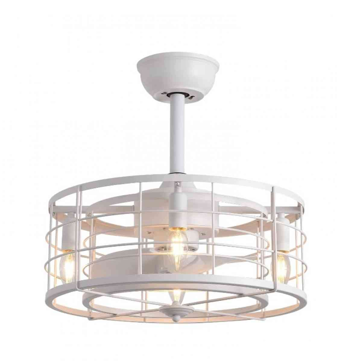 Caged Ceiling Fans wLights Remote Controlw Reversible 3 Spee