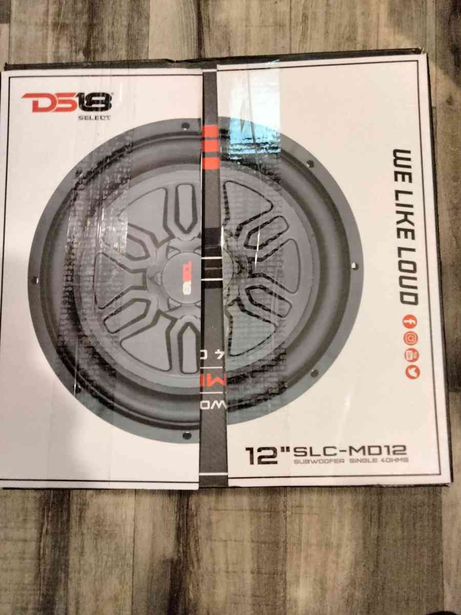 DS18 12 INCH SUBWOOFER
