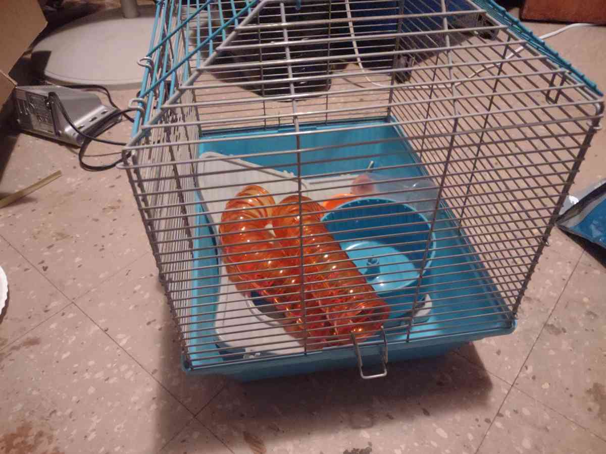 hamster cage