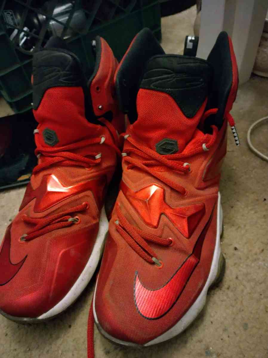 lebron James shoes