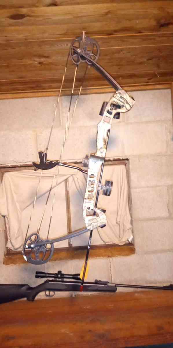 Barnett compound bow