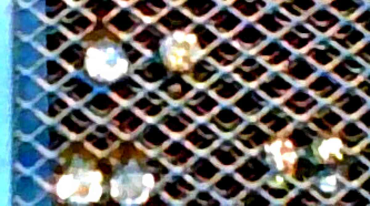 CZ Stud Earrings and Other Stud Earrings