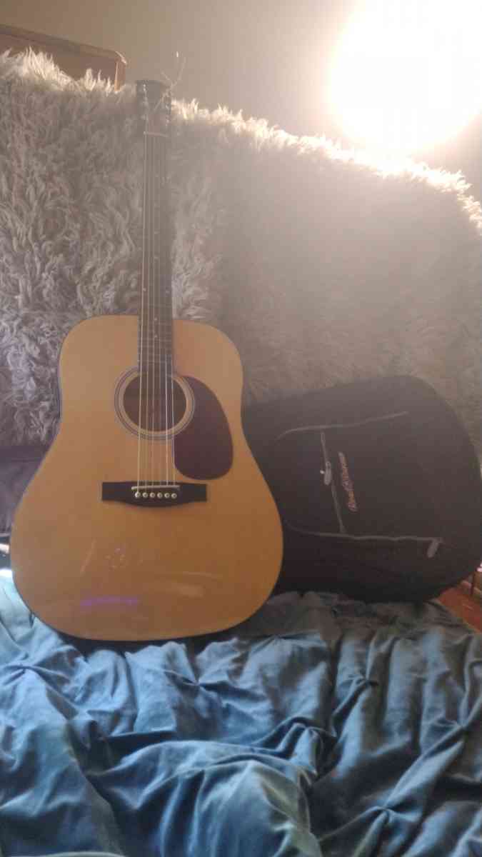 acoustic electric guitar