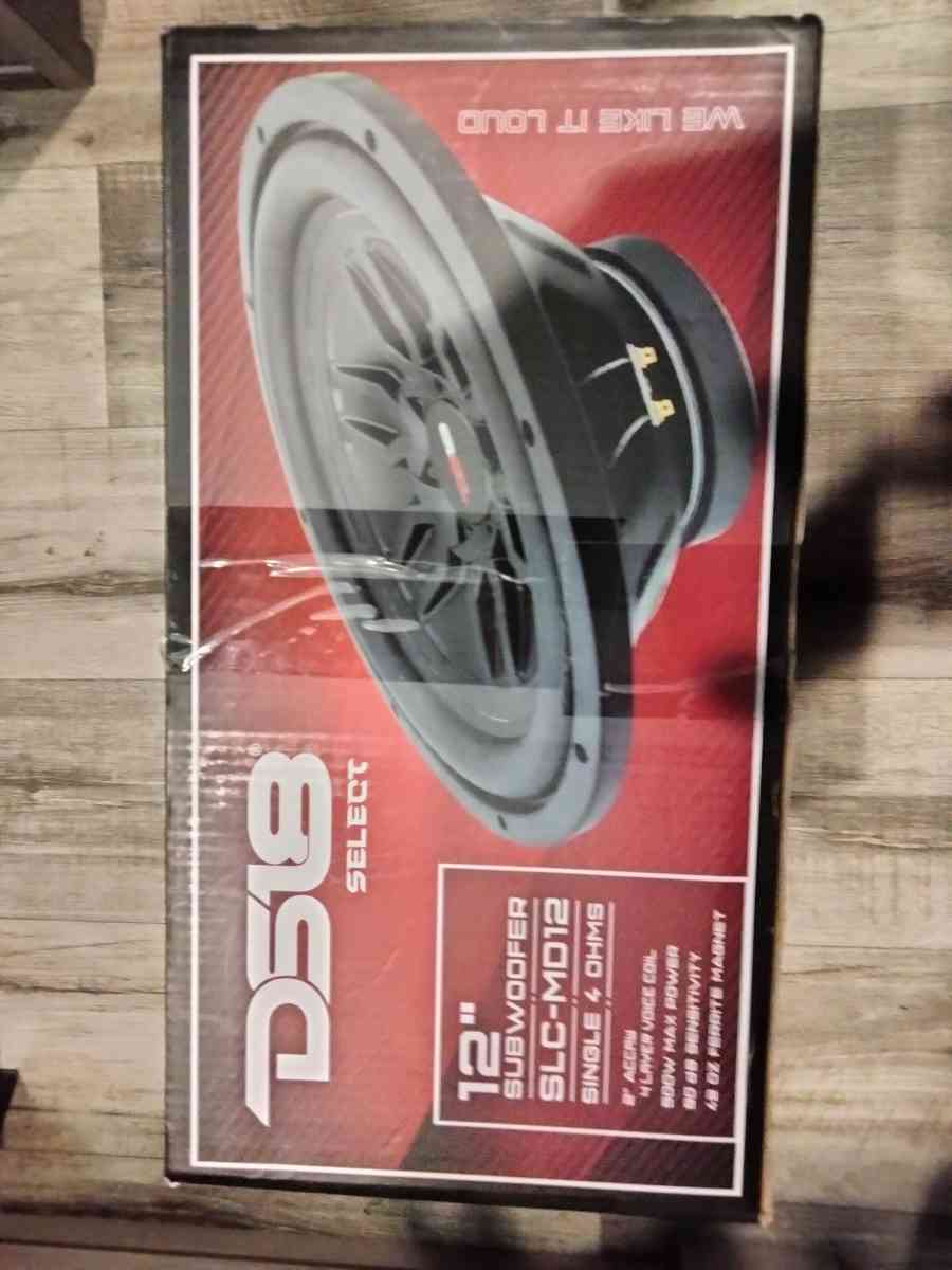 DS18 12 INCH SUBWOOFER
