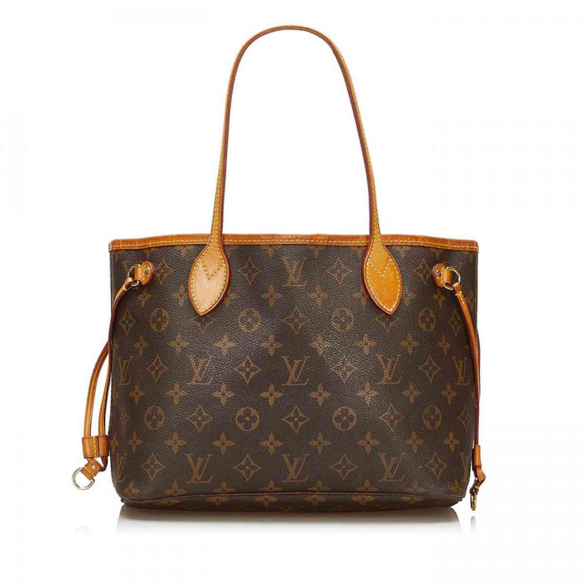 Louis Vuitton Paris purse