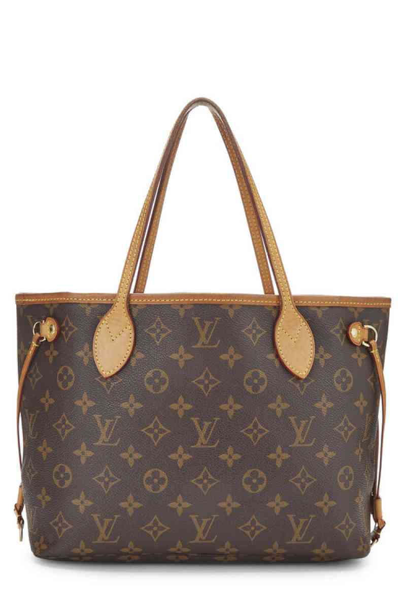 Louis Vuitton Paris purse