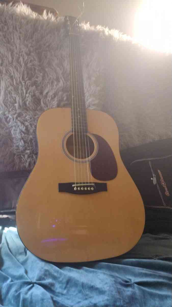 acoustic electric guitar