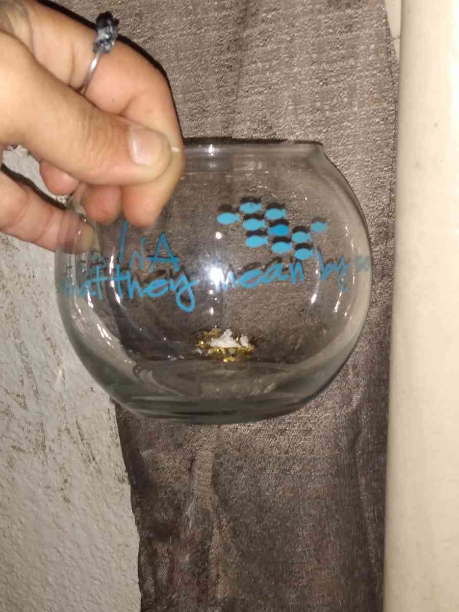 fish bowl mini