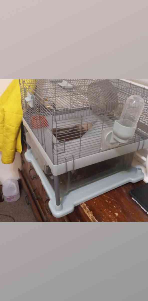 hamster cage