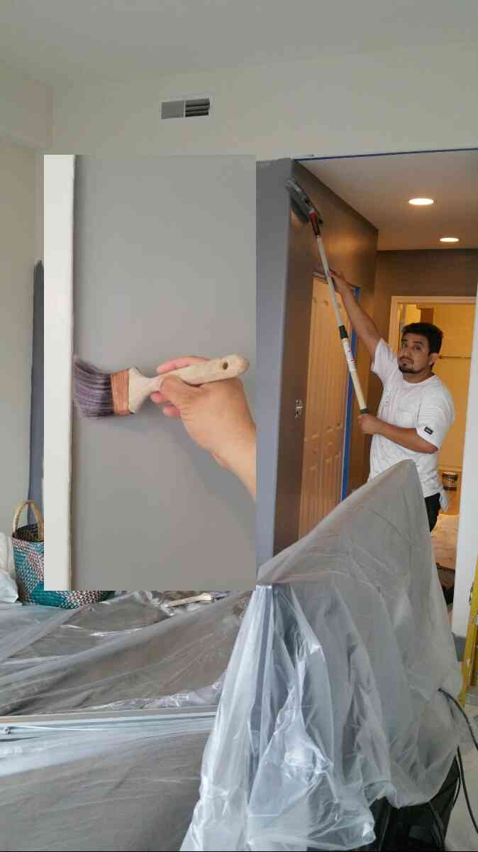 painter painting services