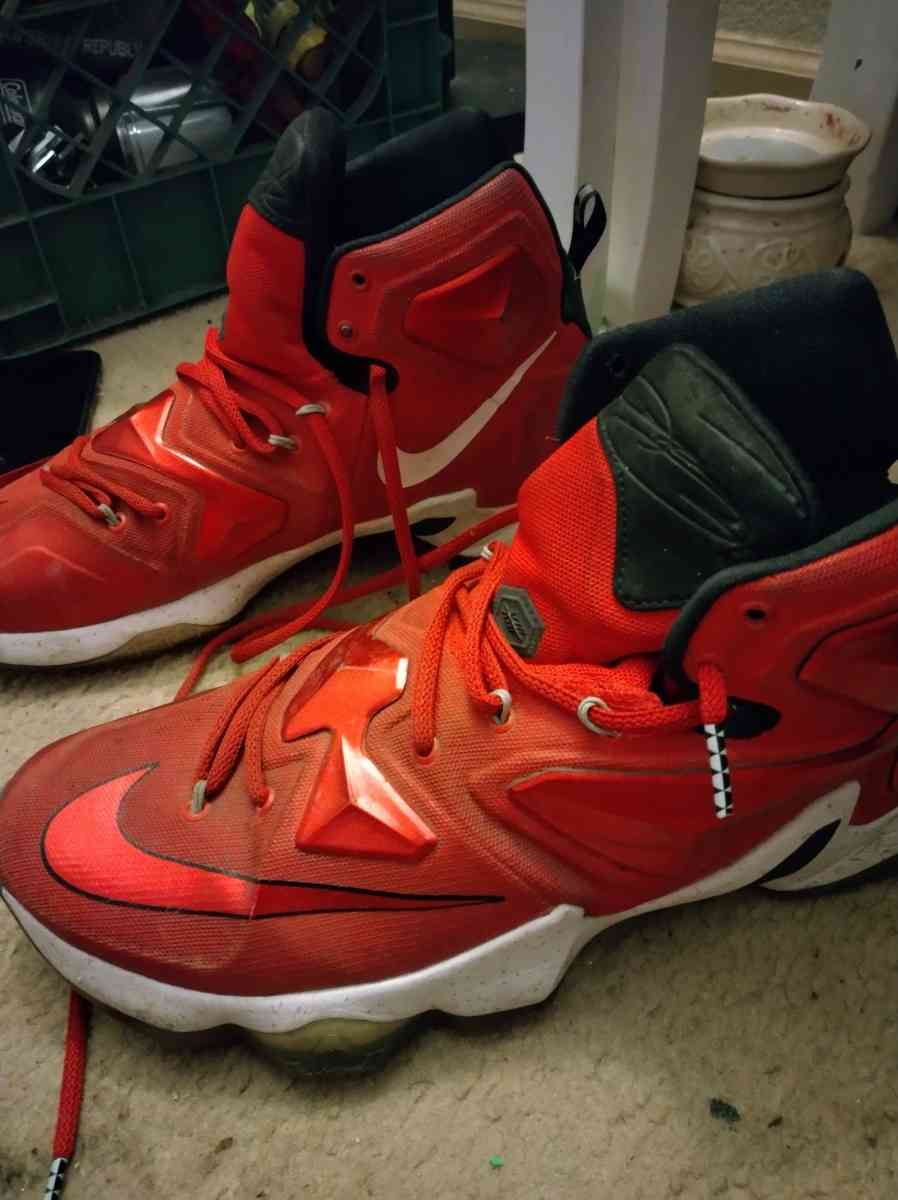 lebron James shoes
