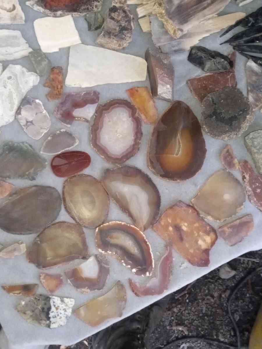 agatized petrified wood slabs