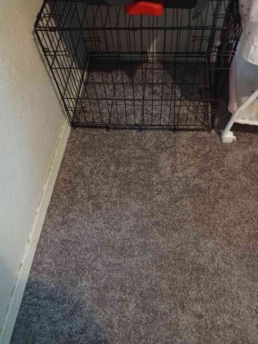 dog cage